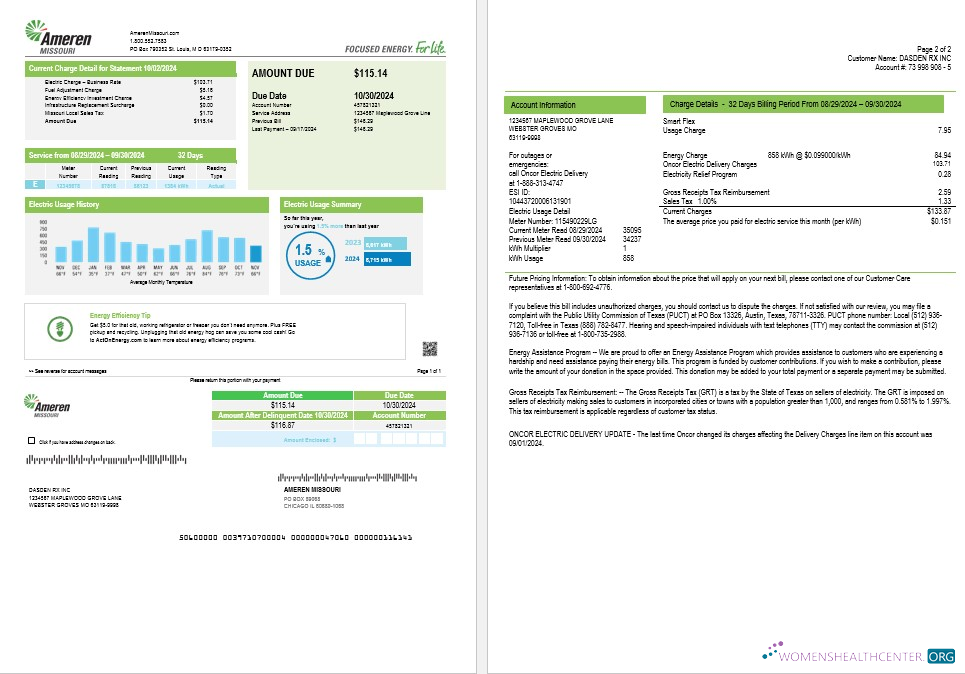 USA Ameren Missouri electricity business utility bill template in Word and PDF formats (2 pages)